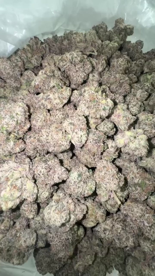 Magic Marker x Crumpz