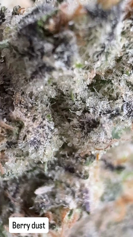 Berry dust