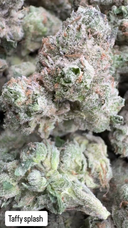 Taffy splash